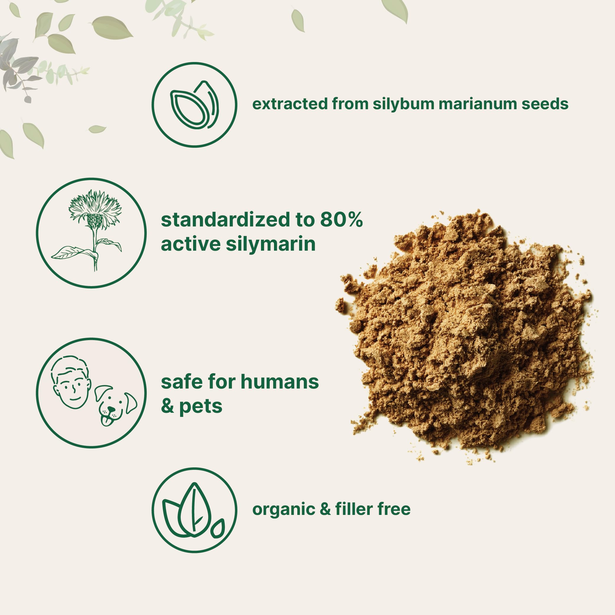 Active silymarin-rich milk thistle powder