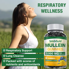 Illustration showing mullein leaf extract benefits for lungs