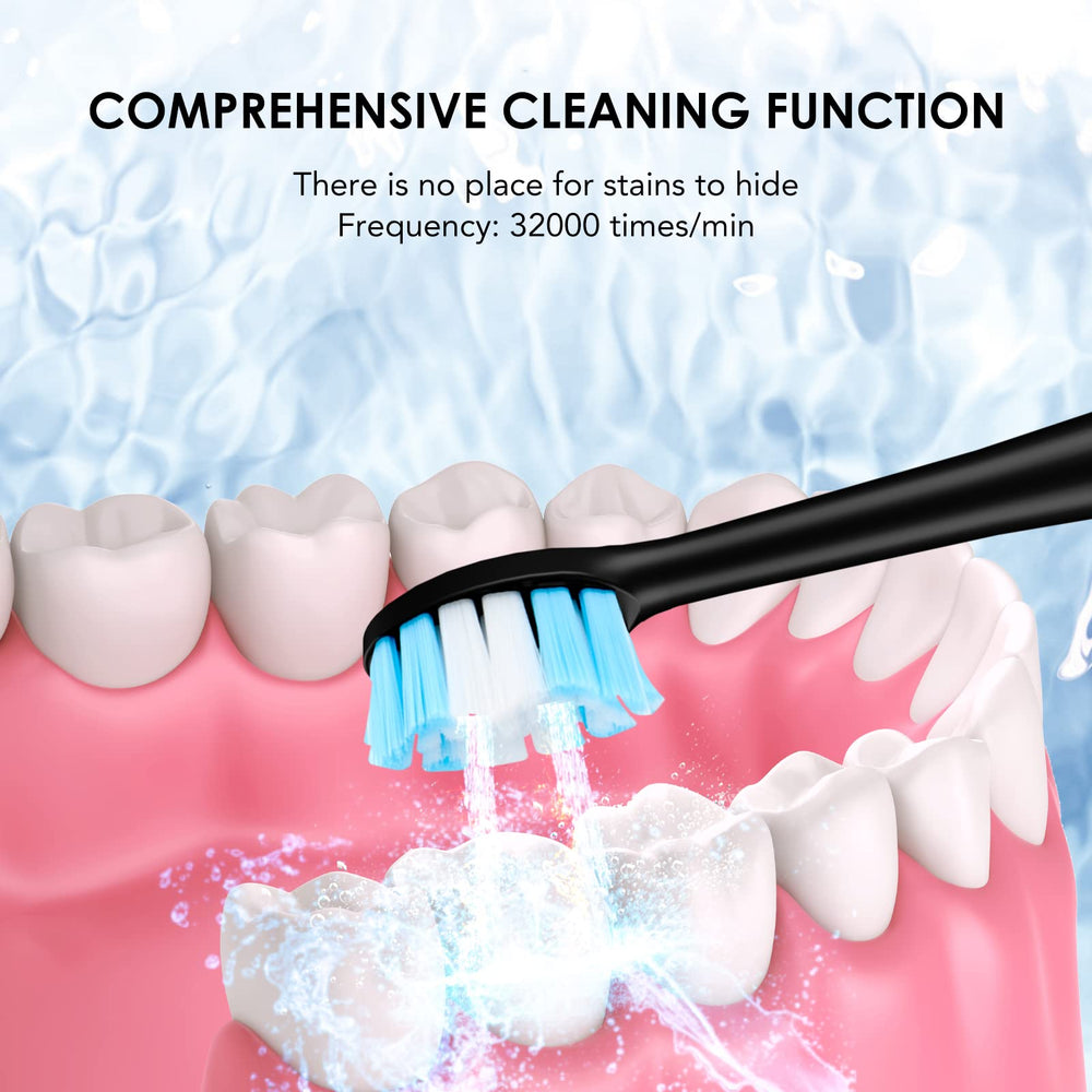 All-in-one toothbrush and water flosser with replacement heads