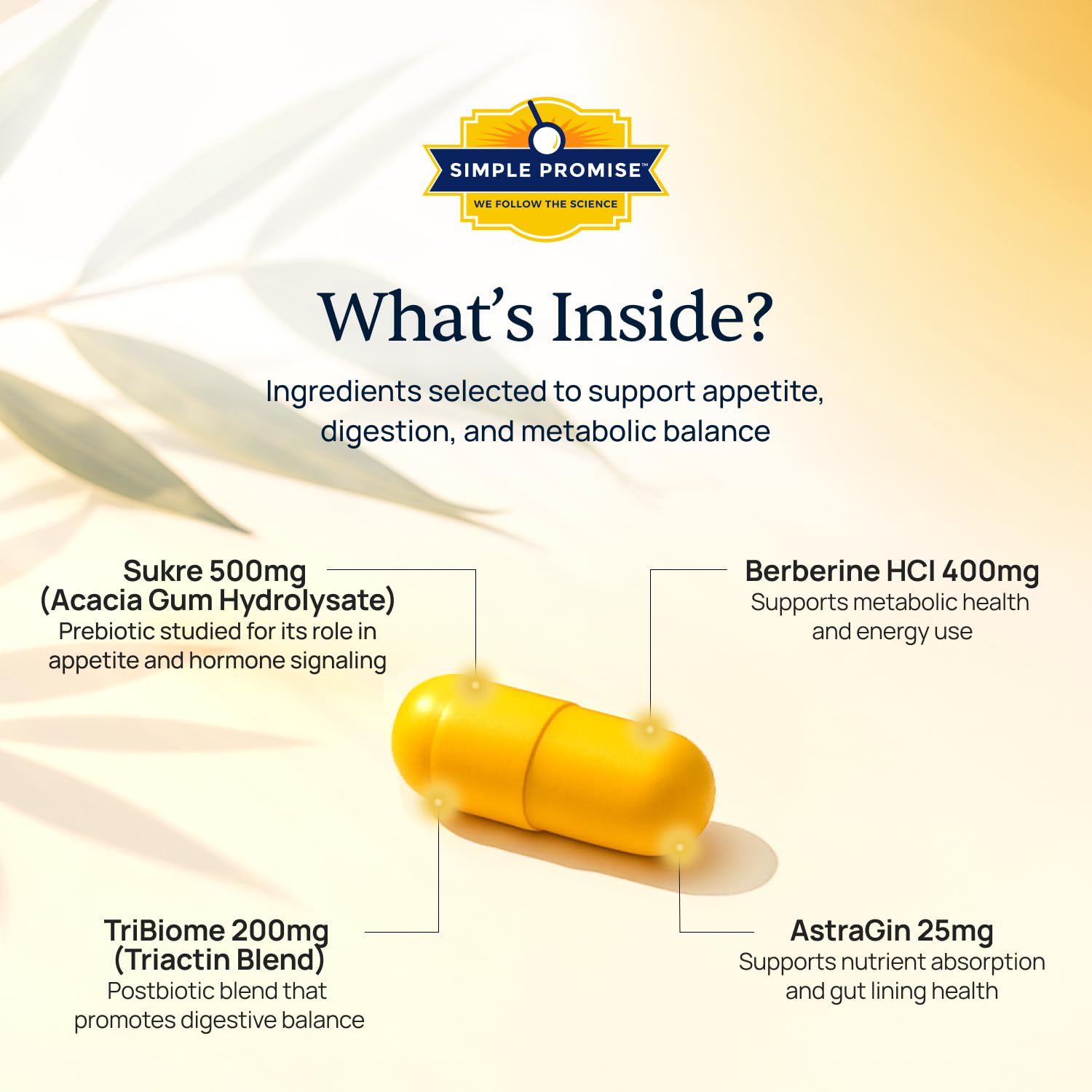 Berberine HCl ingredient highlight for Simple Burn GLP-1 Booster