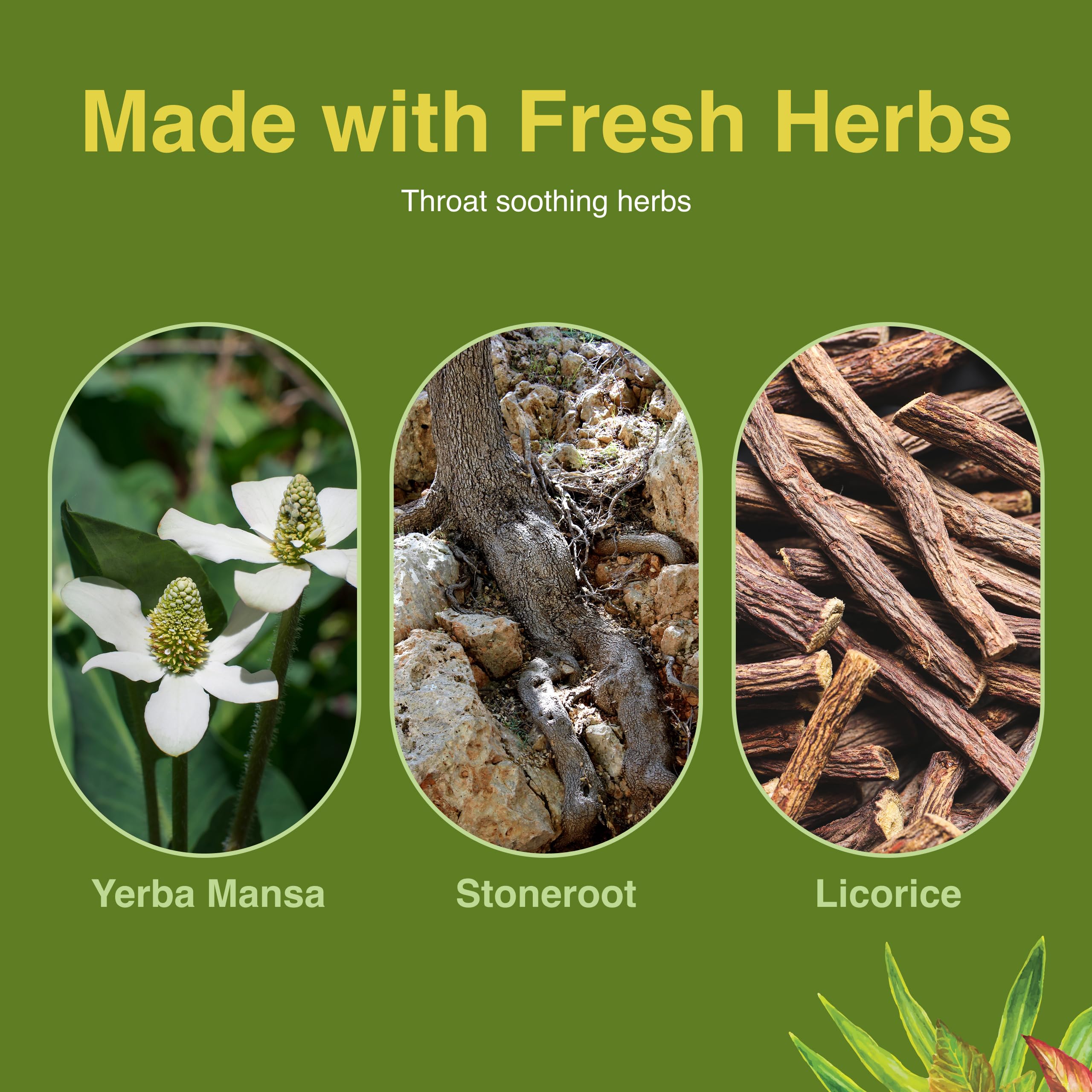 Back label with directions and ingredients on throat spray bottle