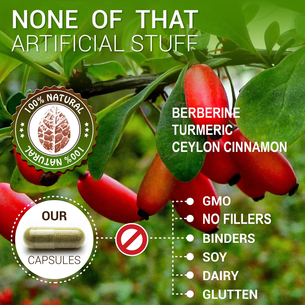 Packaging of SIRUNES Berberine100 Capsules