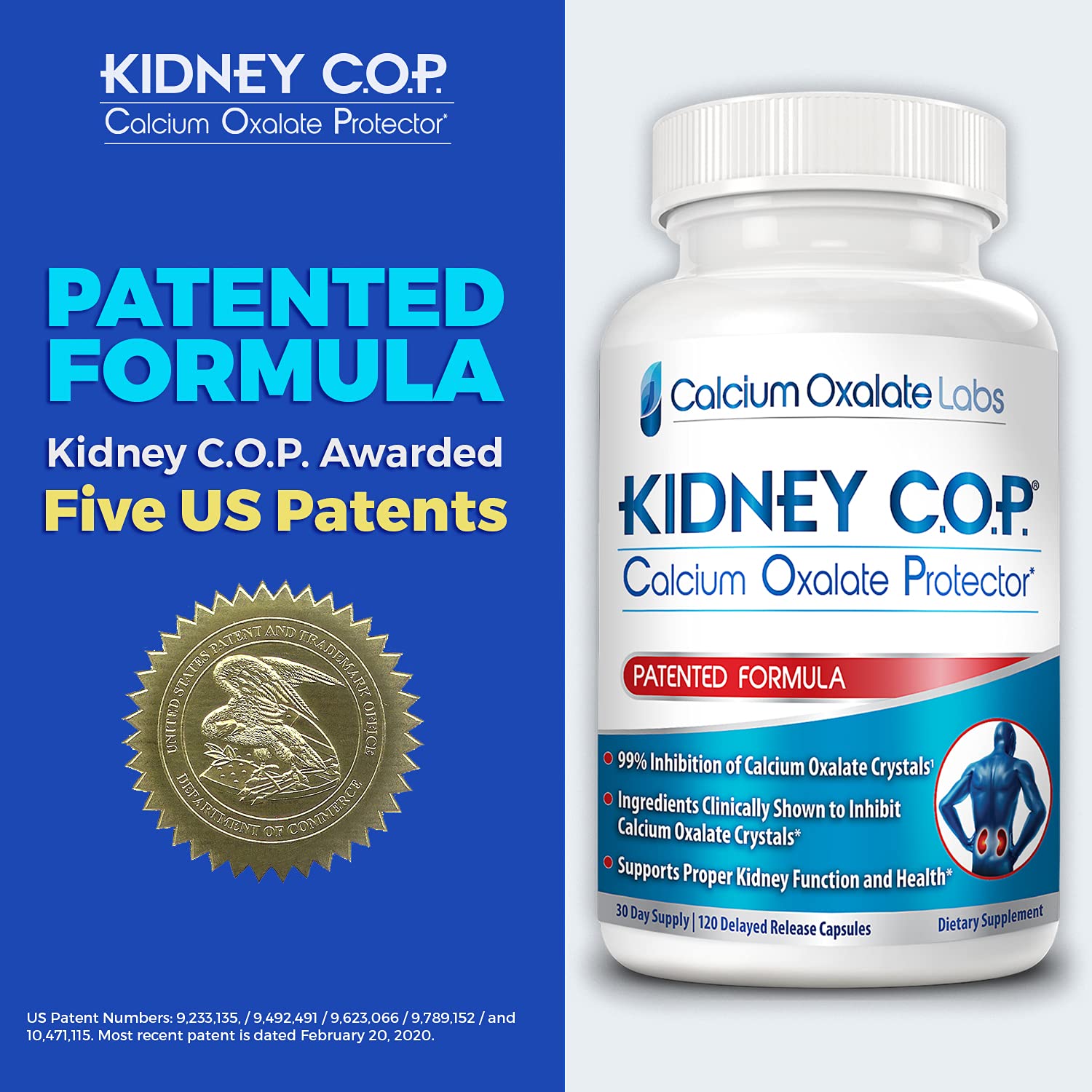 Six-pack bundle of KIDNEY C.O.P. Calcium Oxalate Protector.