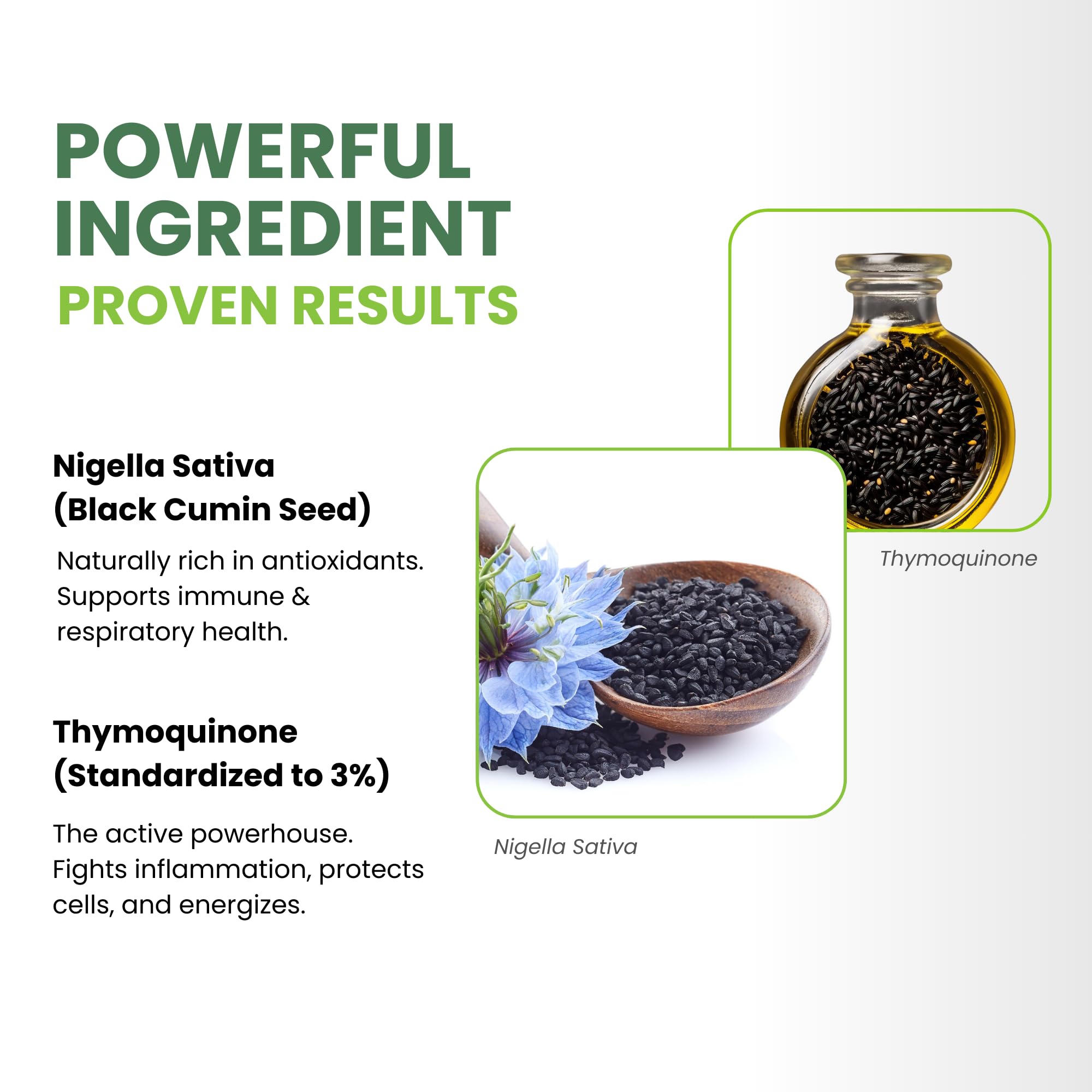 Illustration of skin, joints, metabolic and immune health benefits