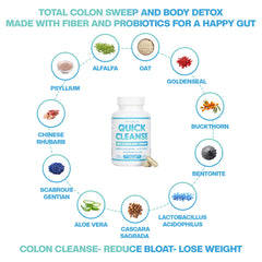 Illustration of digestion support with probiotics and fiber