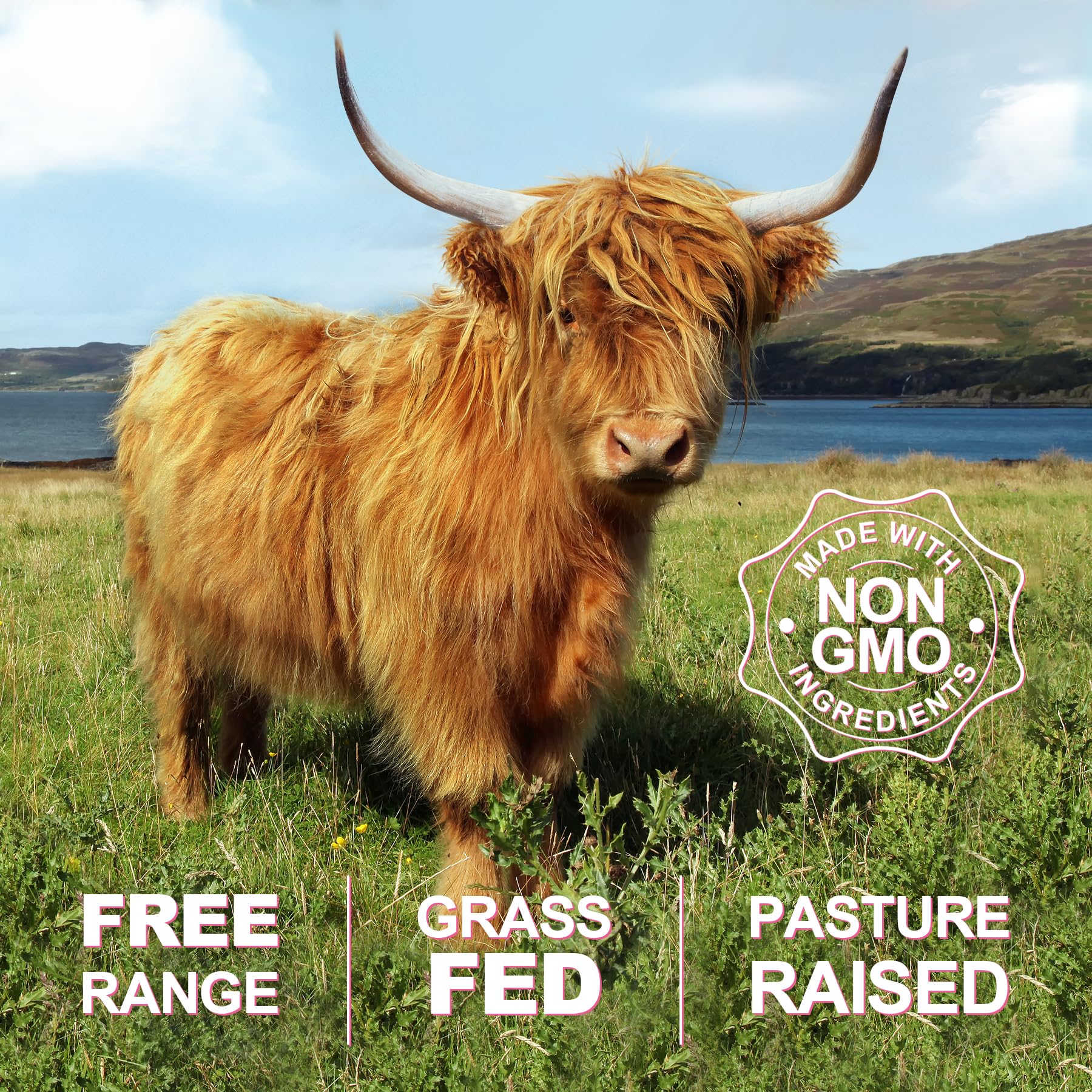 120-capsule bottle packaging showing count