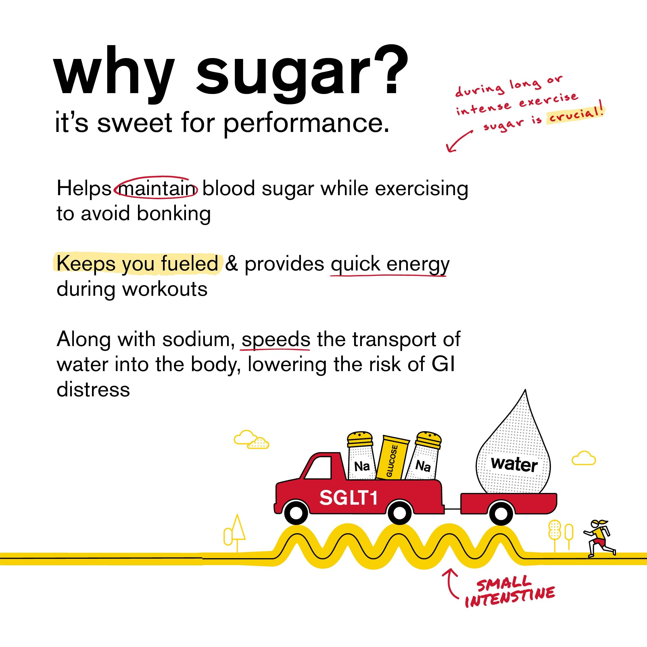 Complete 20-count box of Skratch Labs Hydration Packets for athletes