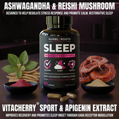 Reishi mushroom for immunity and sleep