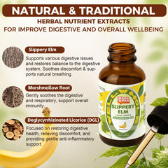 Ingredients: slippery elm, marshmallow root and DGL licorice