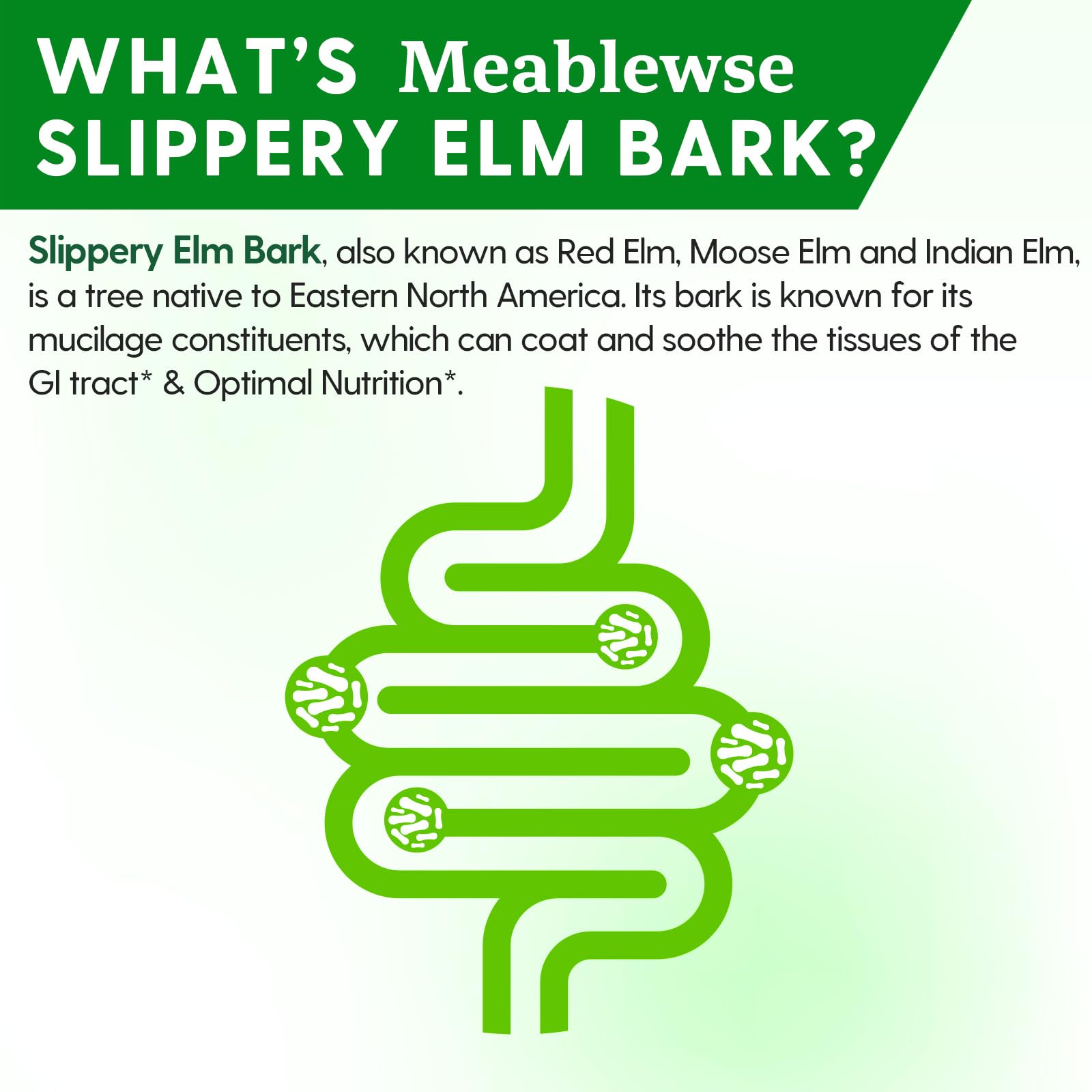 Serving scoop with Slippery Elm Bark Powder