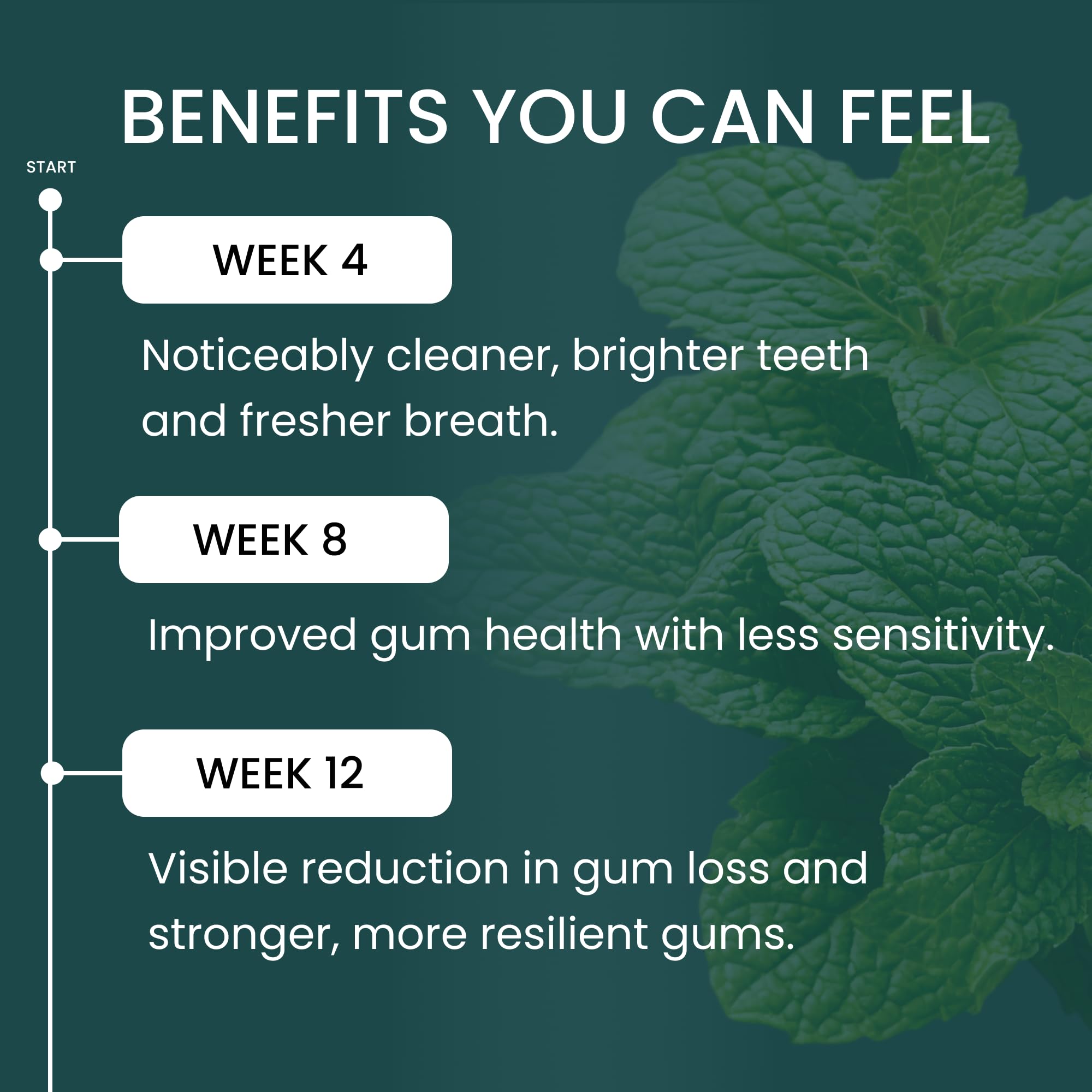 Diagram highlighting gum health and periodontal support