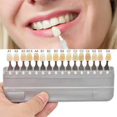 Dental shade guide mold with 16-color porcelain shade chart