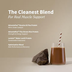 Close-up of chocolate vegan protein powder texture