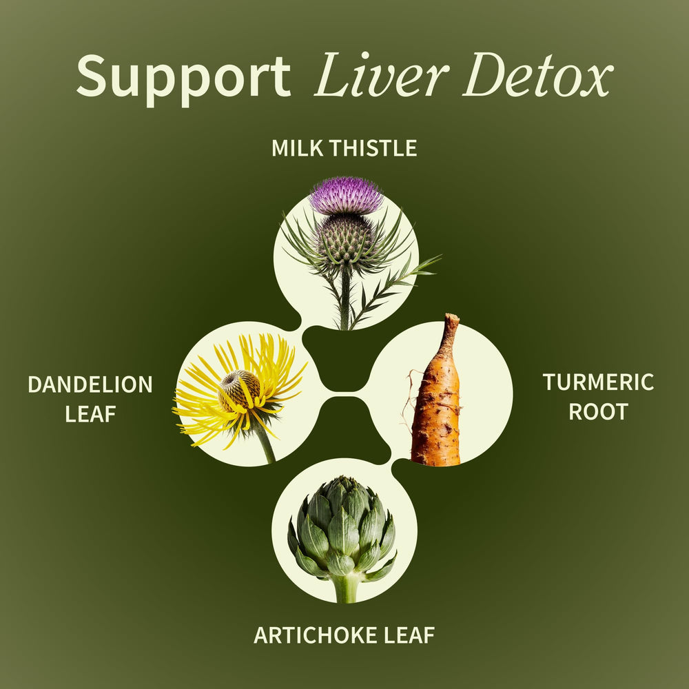 Illustration of liver and digestive system with liver health benefits