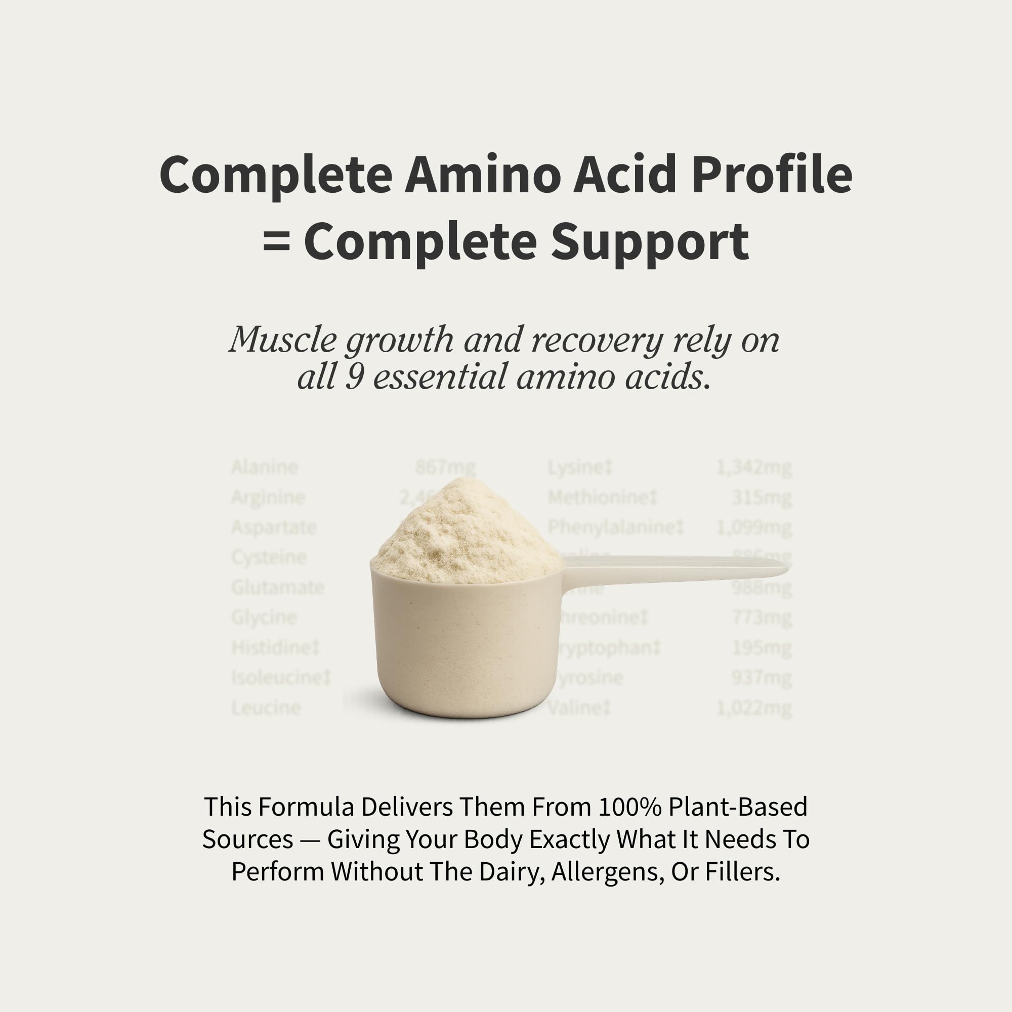Close-up of smooth protein powder texture