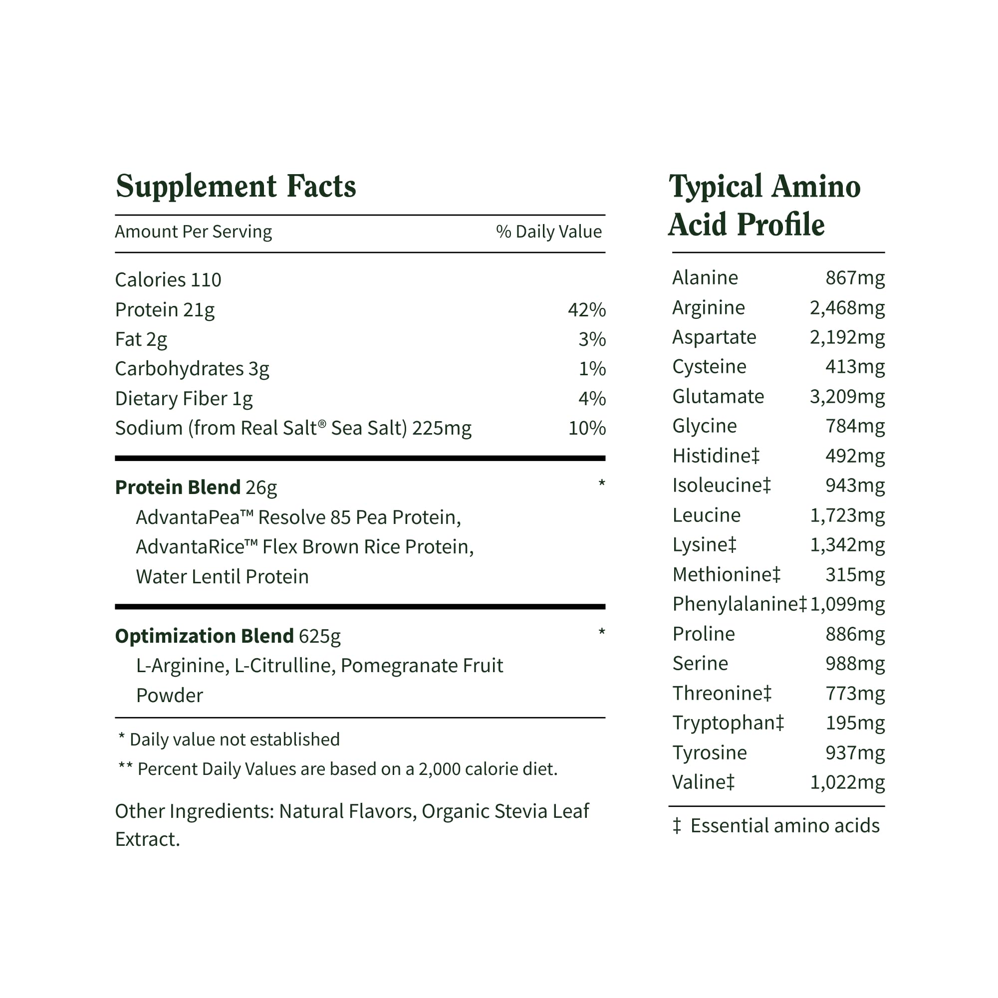 Scoop of vegan protein powder with smooth texture