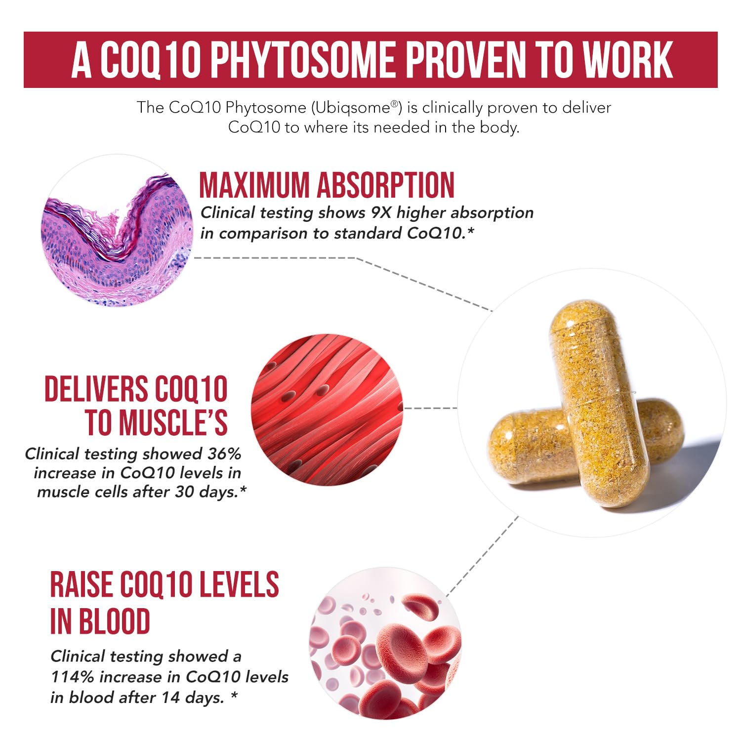 60-capsule bottle of SoActive CoQ10 250 mg