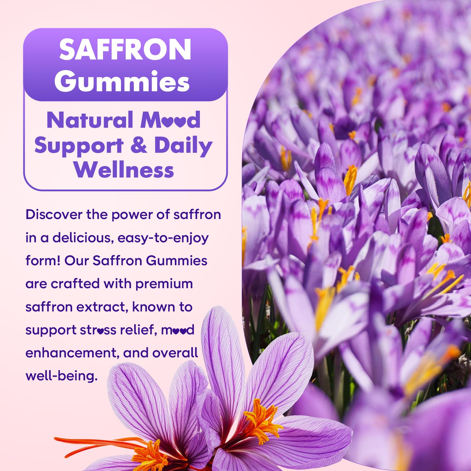 Organic saffron supplements vegan friendly gluten free