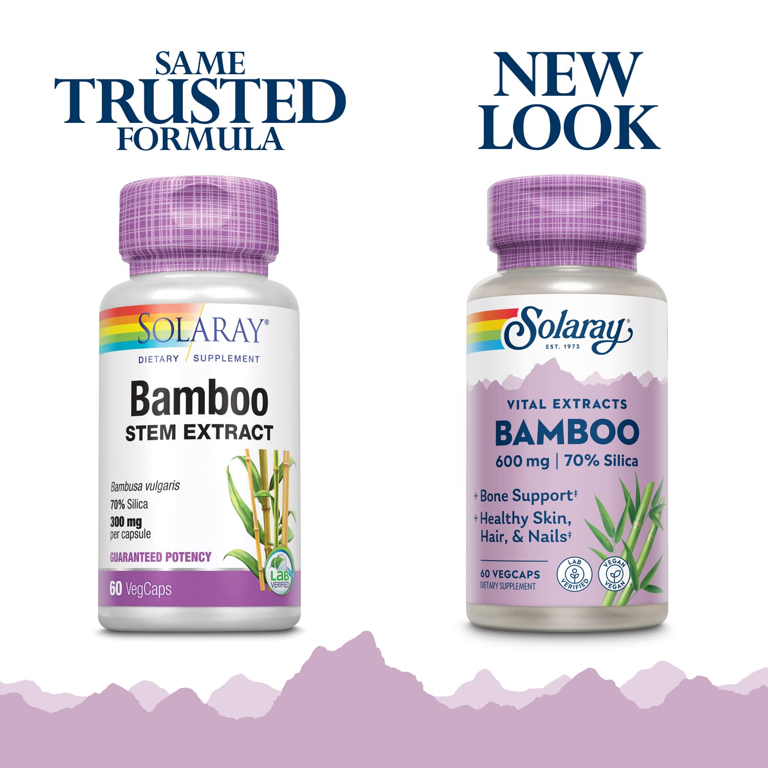 Bamboo Stem Extract capsules close-up