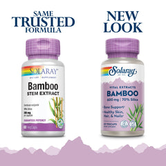 Bamboo Stem Extract capsules close-up