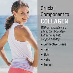 Hair, skin, nails and bones connective tissue graphic