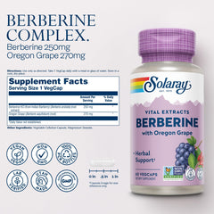 Berberine Root Extract AMPK Activator concept image