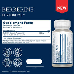 Illustration showing phytosome delivery improving Berberine absorption