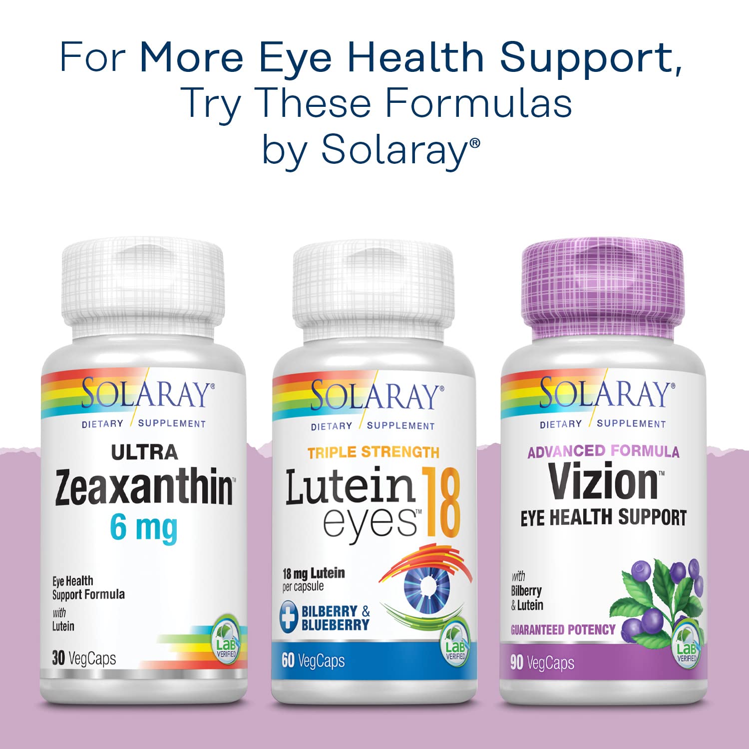 Vision support and circulation health with Bilberry extract