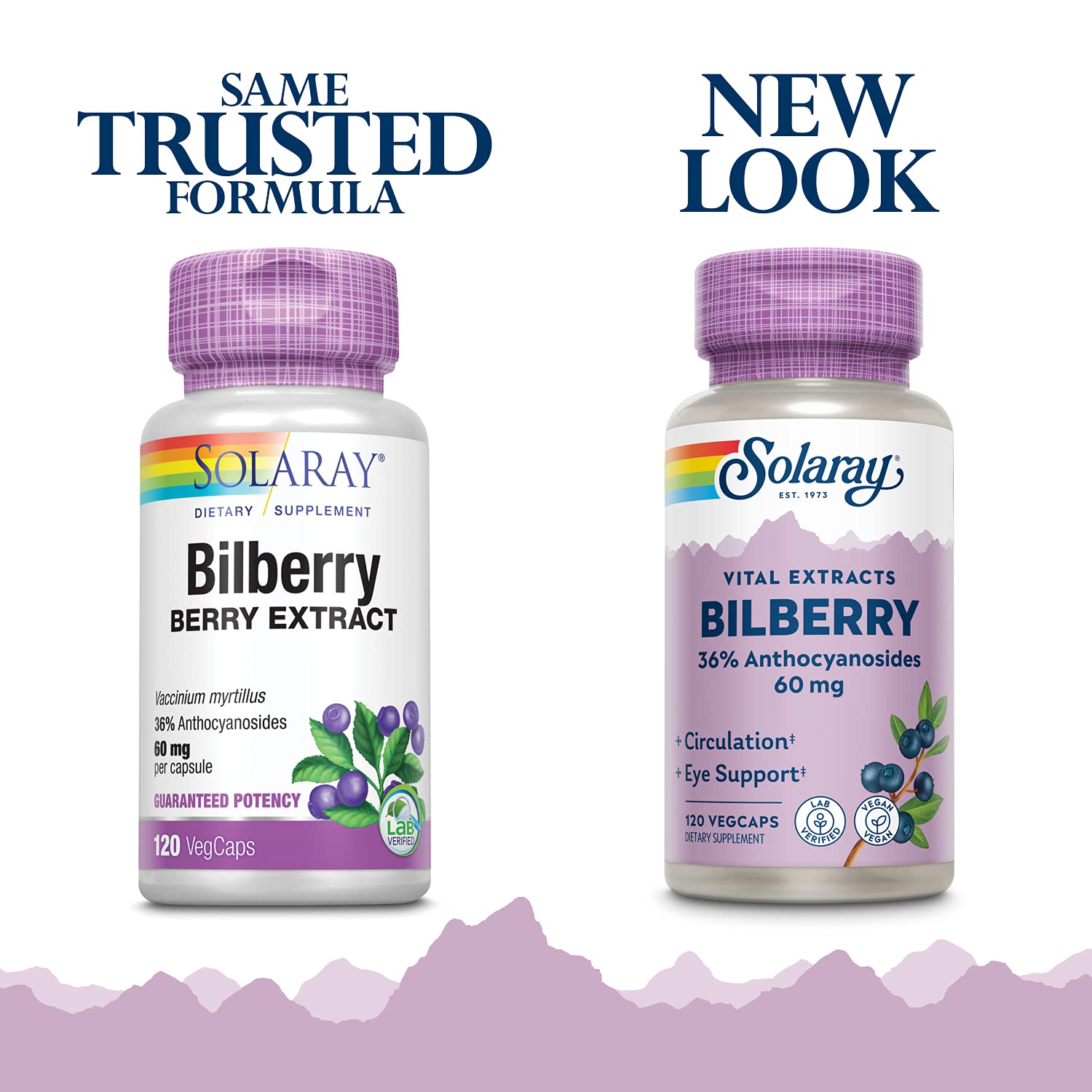 Bilberry Berry Extract capsules displayed in bottle