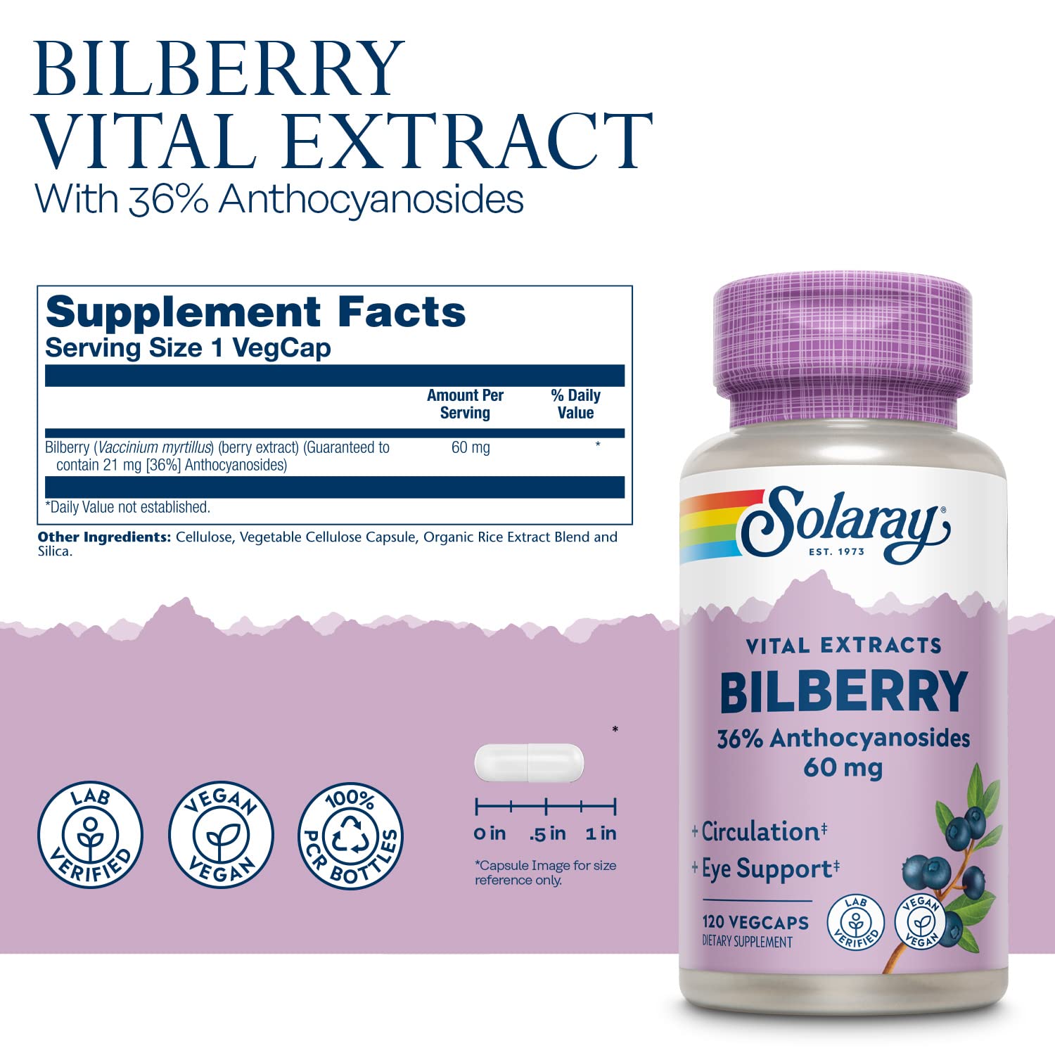 Close-up of bilberry extract label highlighting 60 mg per capsule