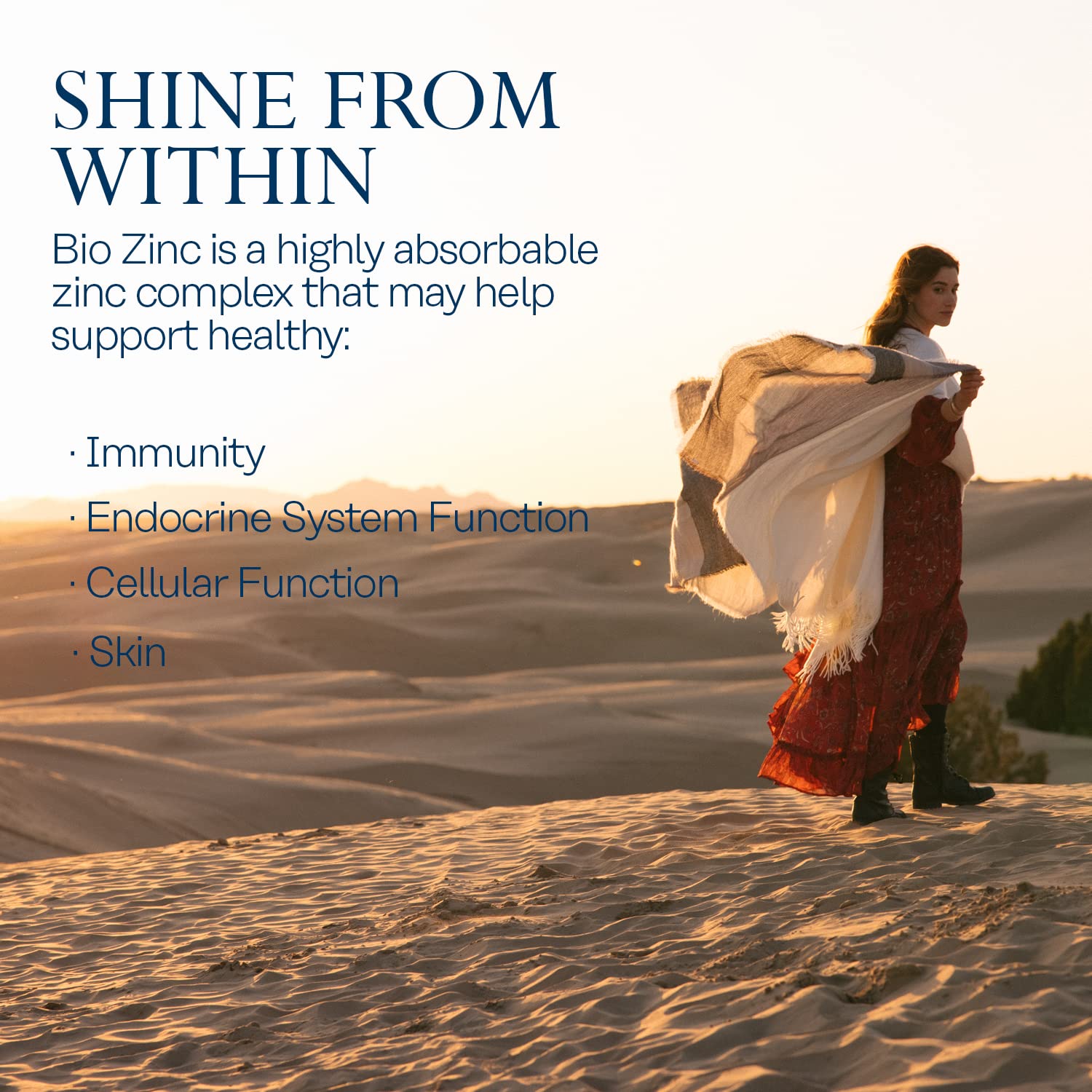 Chelated zinc complex illustration