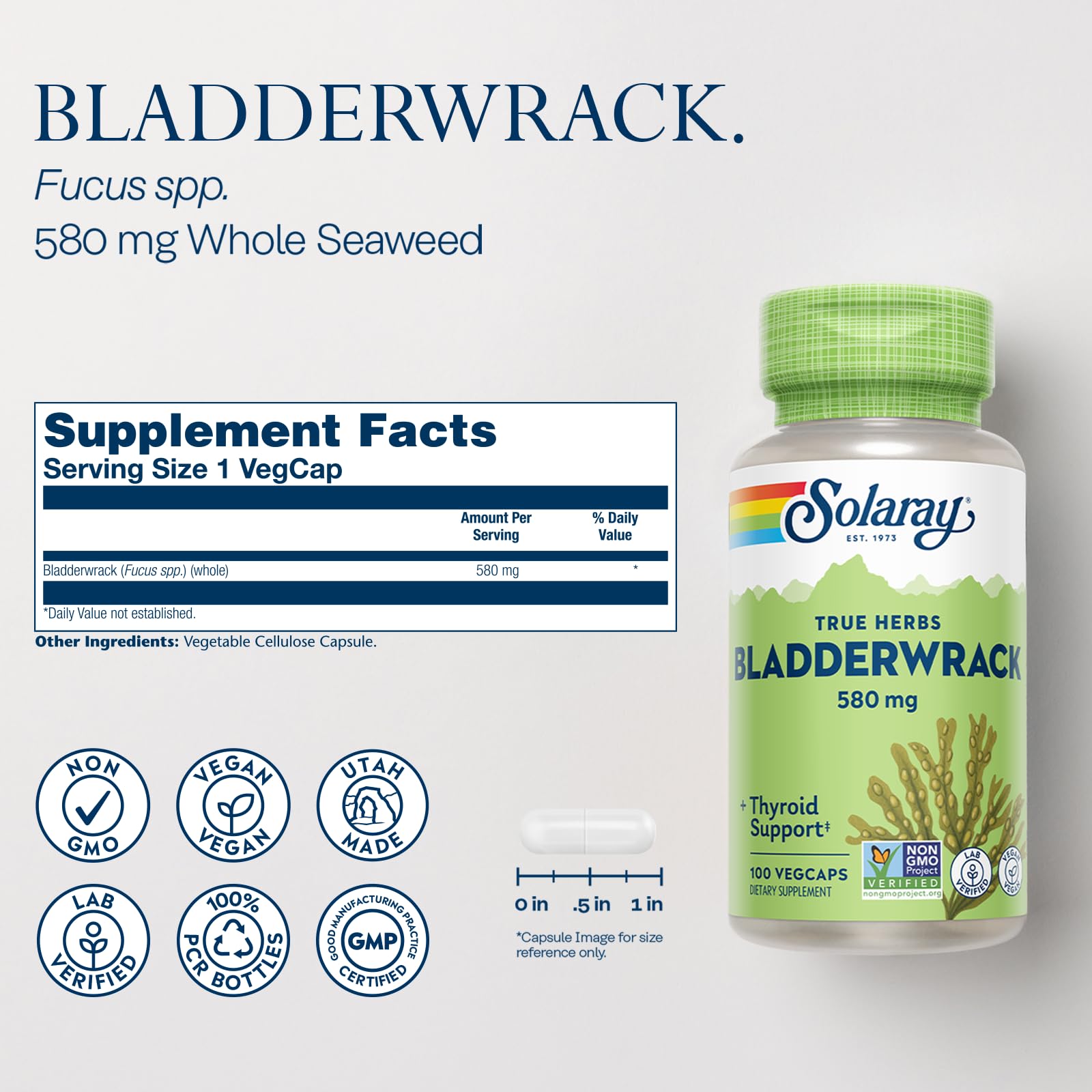 Iodine-rich bladderwrack seaweed nutrition image