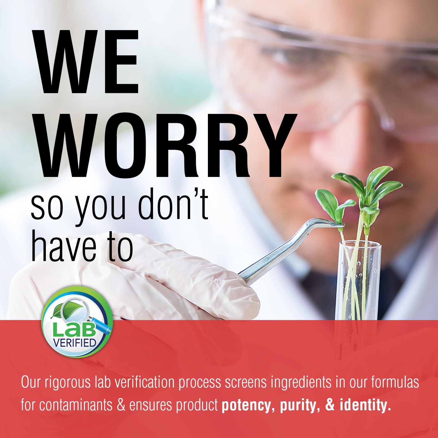 Carotenoid complex formulation image