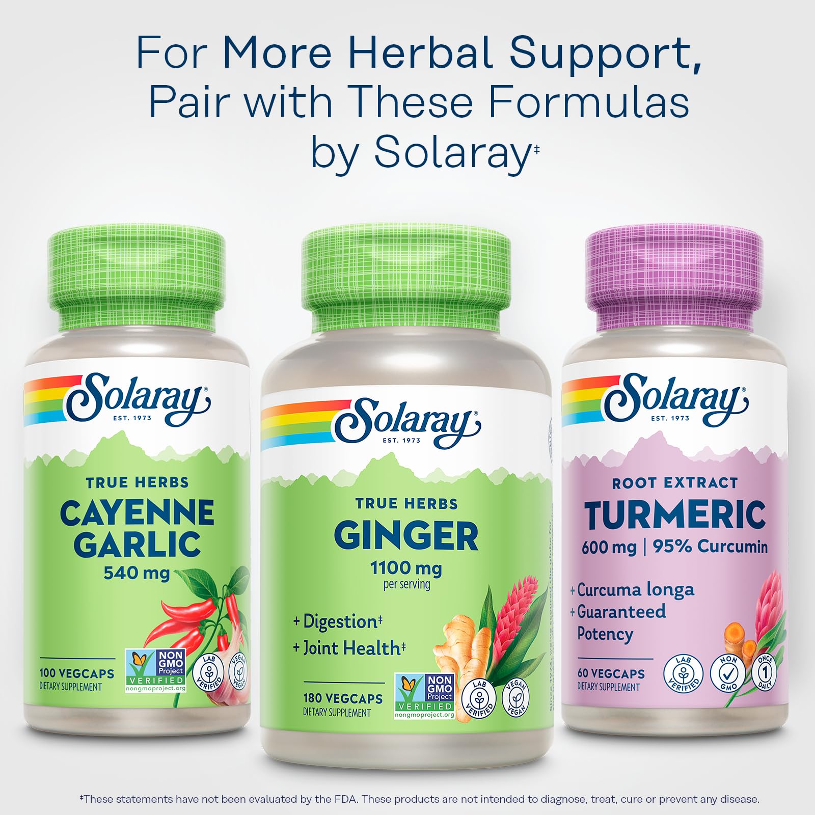 Solar panels powering Solaray facility for sustainability