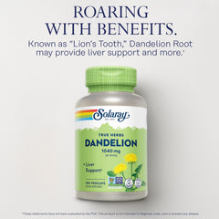 Whole dandelion root plant