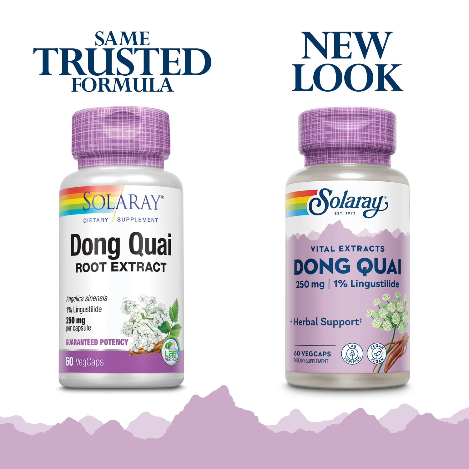 Close-up of SOLARAY Dong Quai Root Extract bottle label