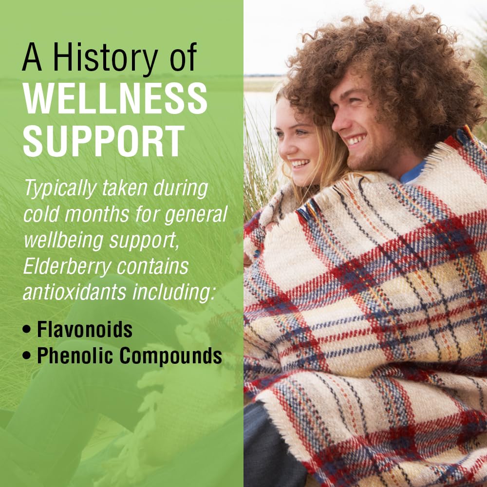 Graphic showing flavonoids and phenolic compounds in elderberry