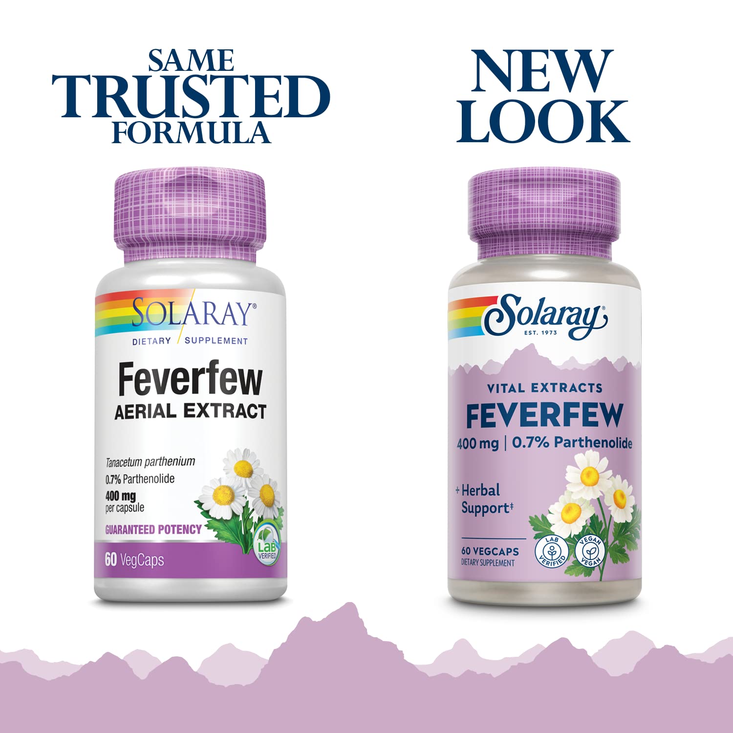 Close-up of feverfew extract capsules (60 VegCaps)