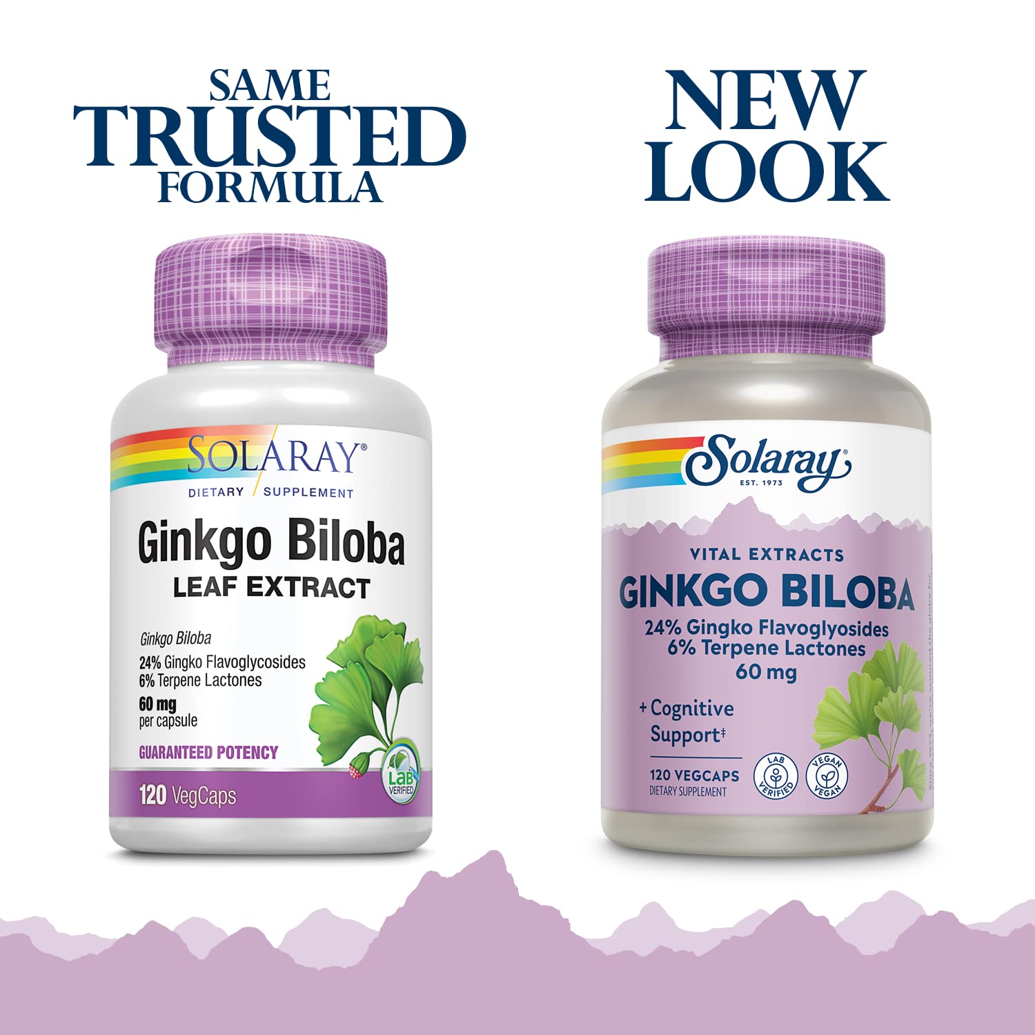 Ginkgo biloba leaf extract 60 mg veg capsule packaging