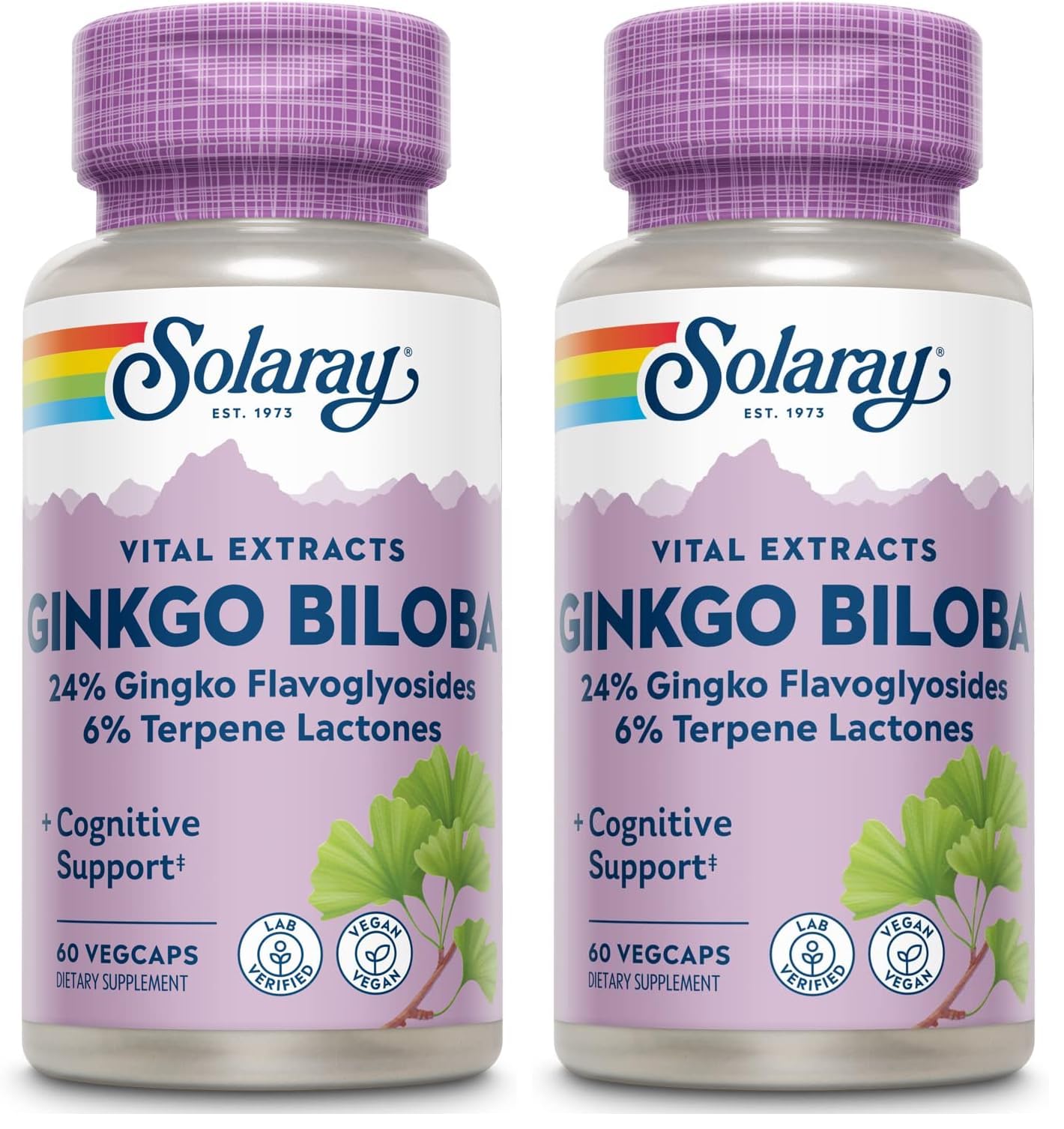 SOLARAY Ginkgo Biloba Extract 60mg bottle - 60 count (pack of 2)