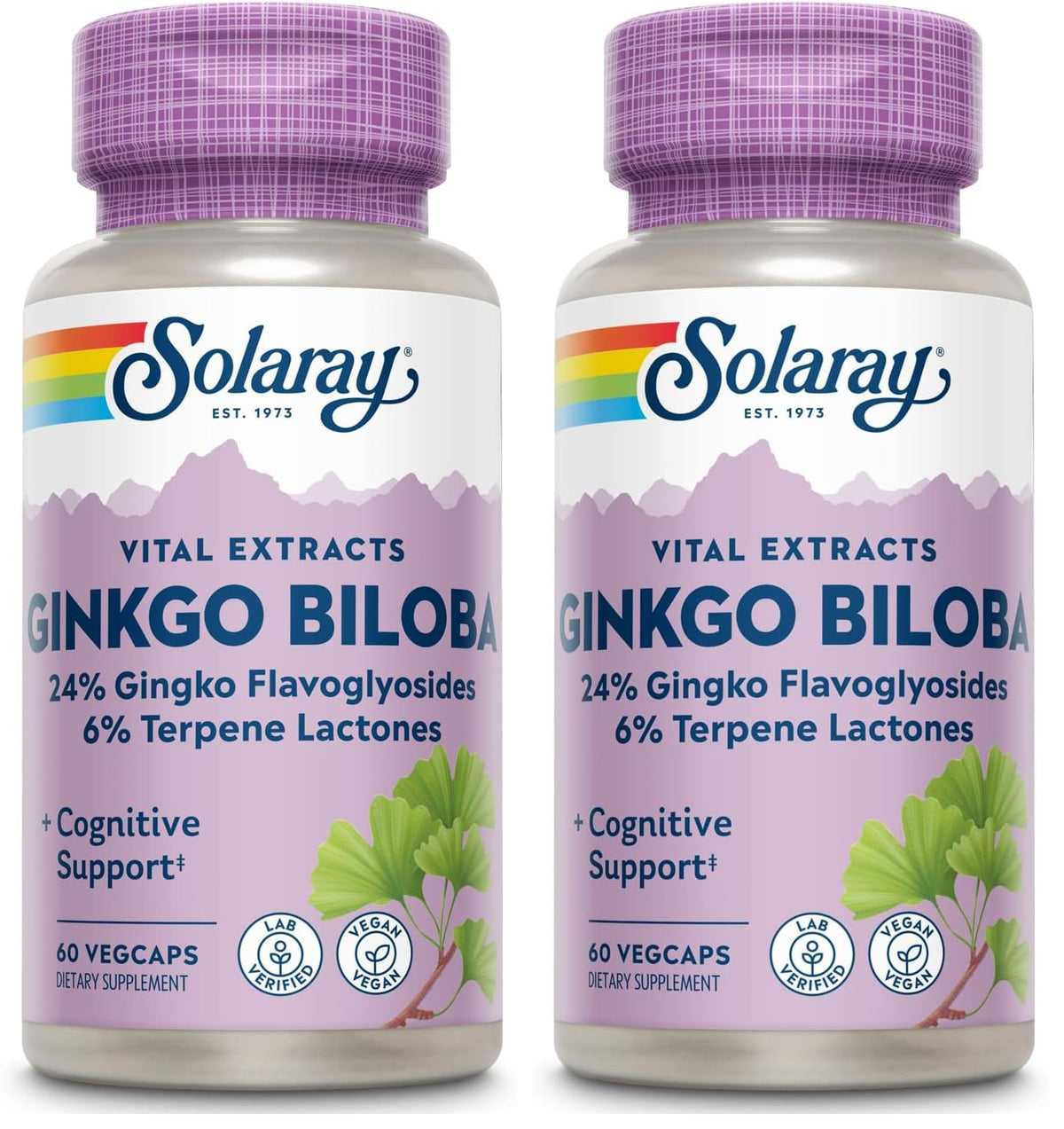 SOLARAY Ginkgo Biloba Extract 60mg bottle - 60 count (pack of 2)