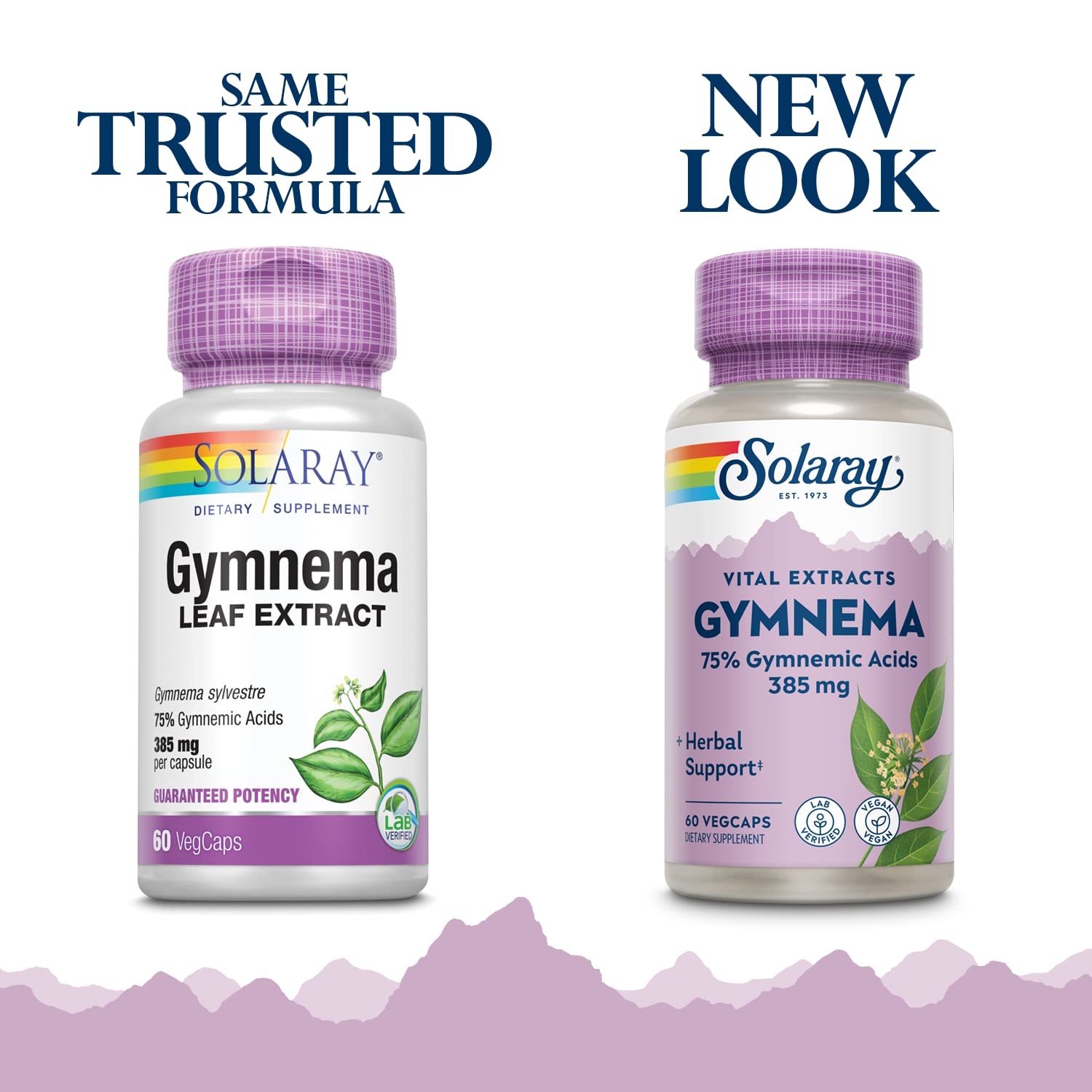 Solaray Gymnema Leaf Extract bottle label showing potency 385 mg