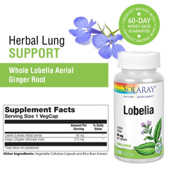 Lobelia blend with ginger root for lung support