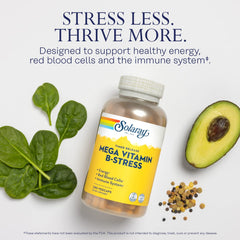 Two-stage timed-release technology illustration for SOLARAY B-Stress