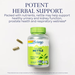Nettle Leaf capsules supporting respiratory wellness during seasonal changes
