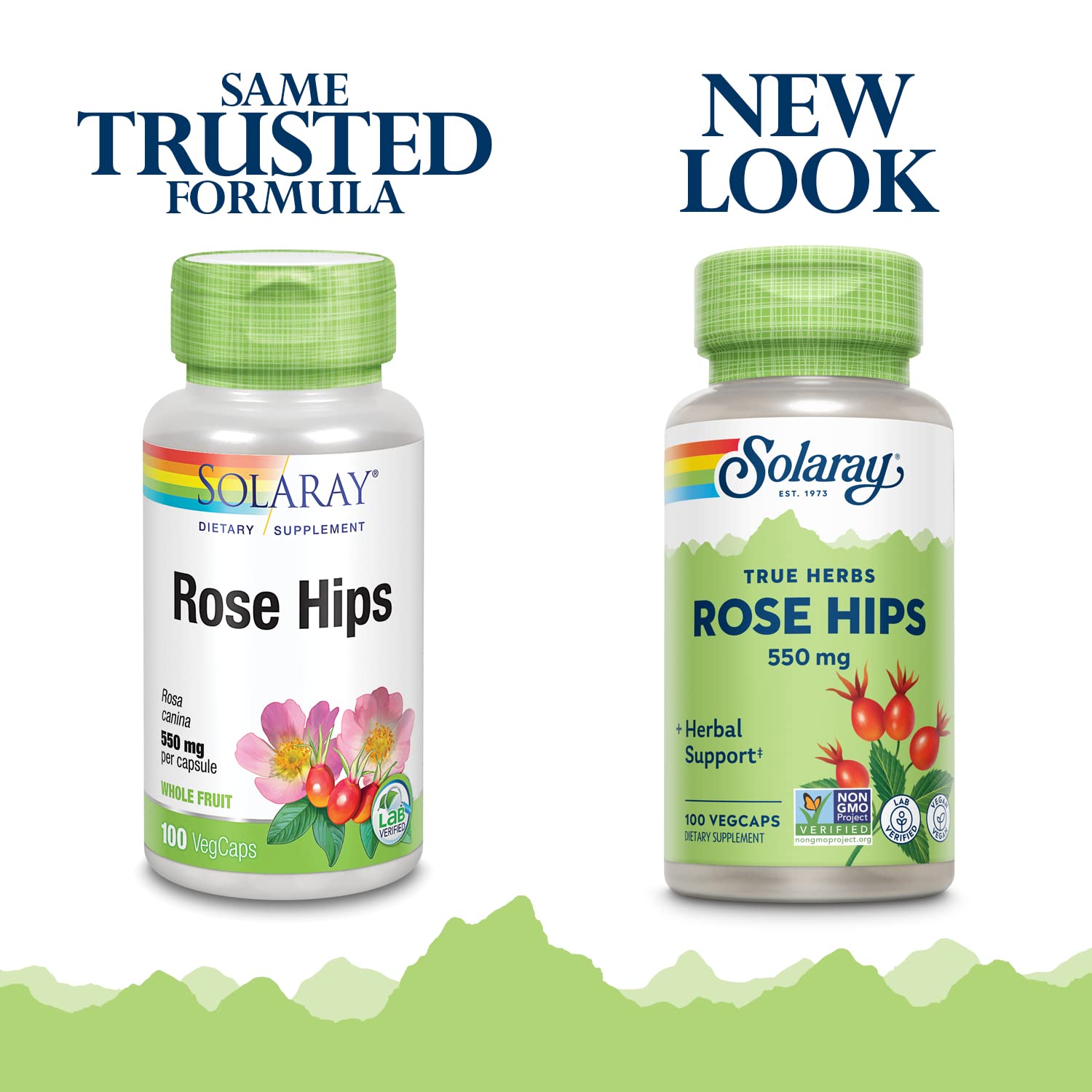 Rose hips fruit capsules with vitamin C and bioflavonoids