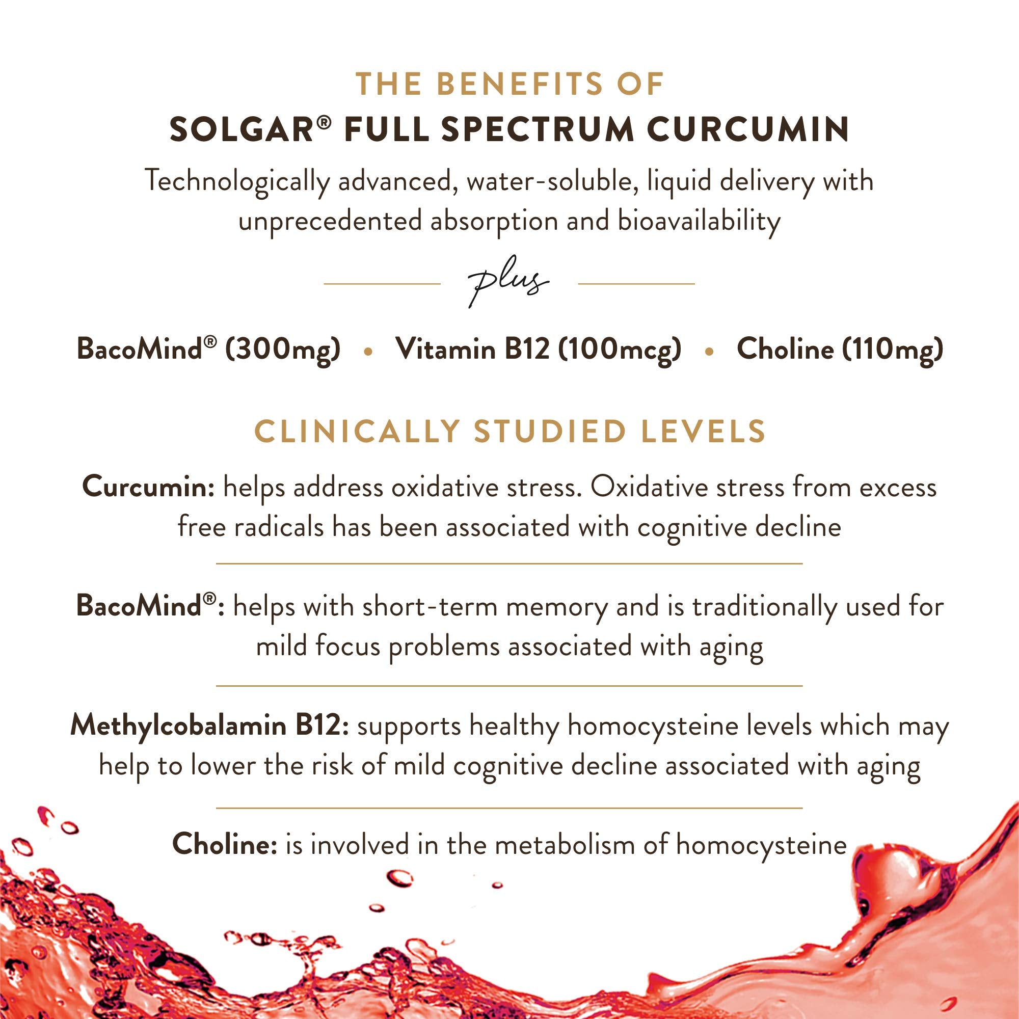 BacMind Bacopa in Solgar Brain Works formula