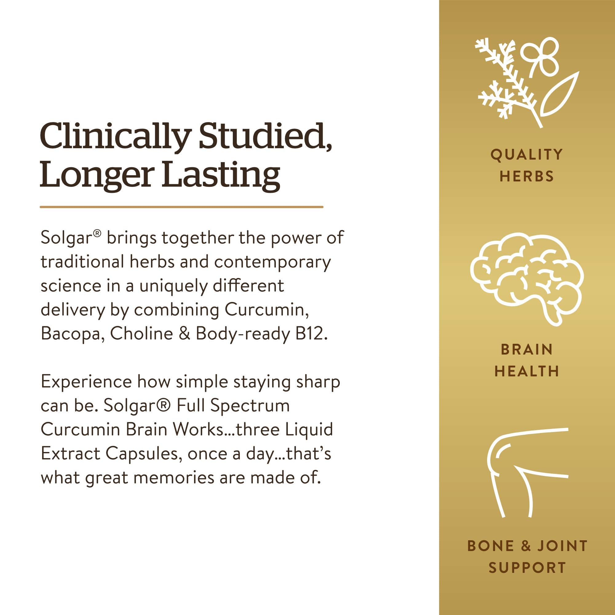 Choline and Vitamin B12 in Solgar Brain Works