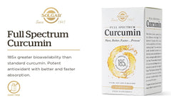 Illustration highlighting micelle technology for Curcumin absorption