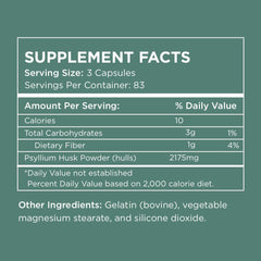 Soluble fiber powder derived from psyllium husk ingredients close-up